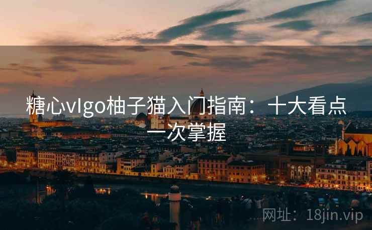 糖心vIgo柚子猫入门指南：十大看点一次掌握