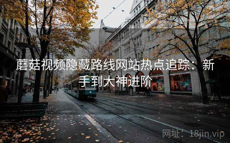 蘑菇视频隐藏路线网站热点追踪：新手到大神进阶