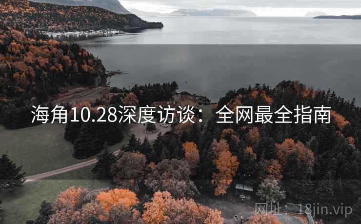 海角10.28深度访谈：全网最全指南